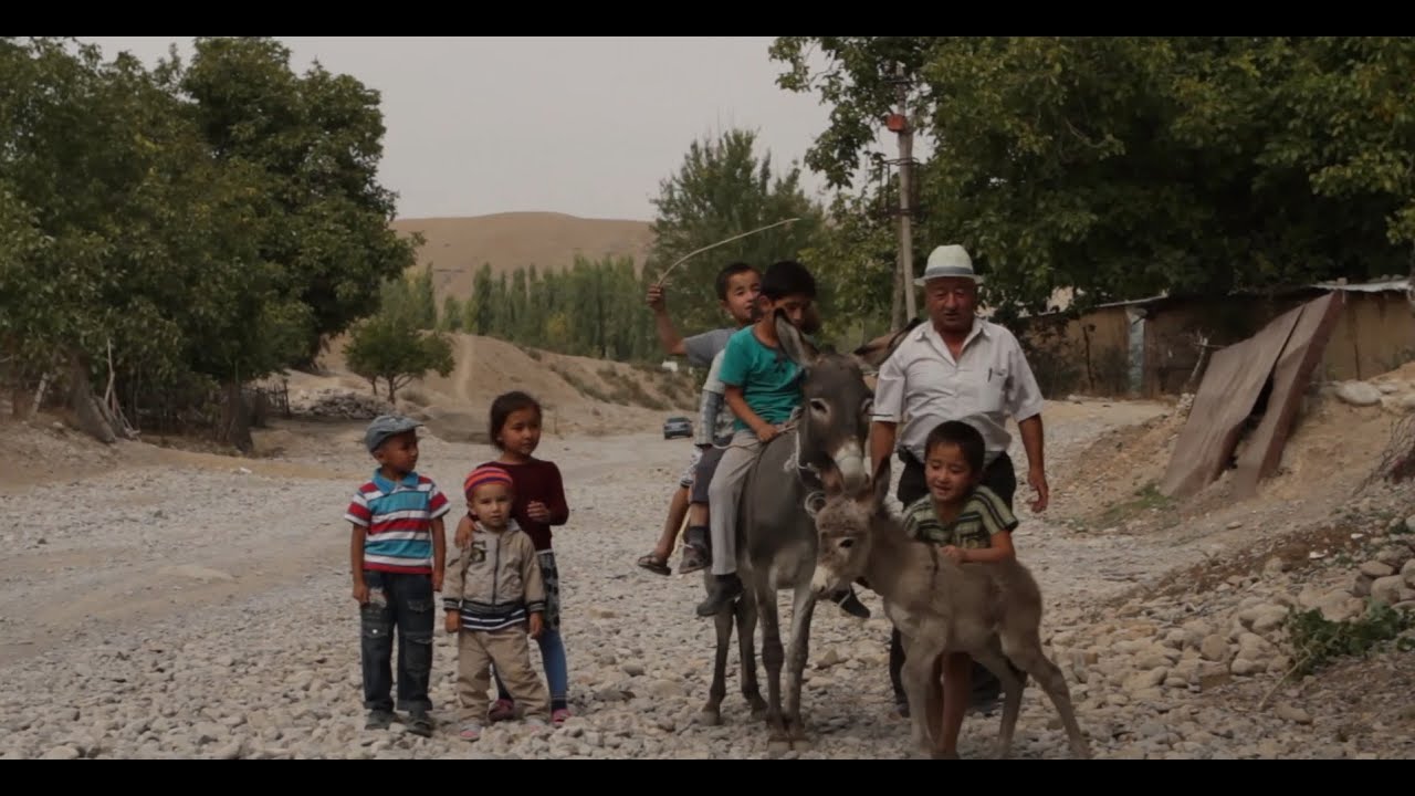 Water is life — explore the OSCE Stories, Real Lives project